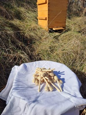 Dřevěná lžička na med